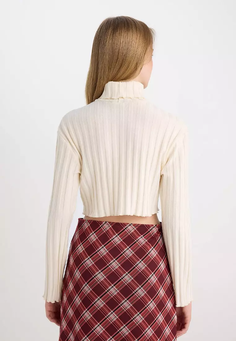 Turtleneck Crop Top