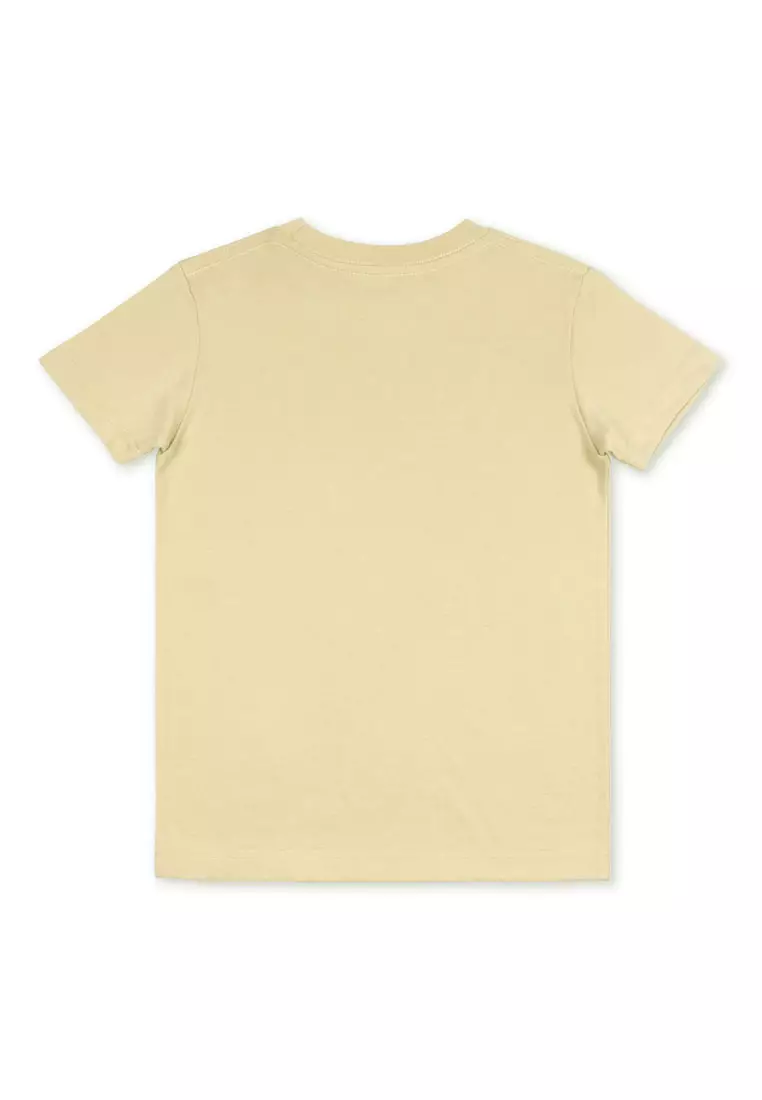 Boys T-Shirt with Print Details