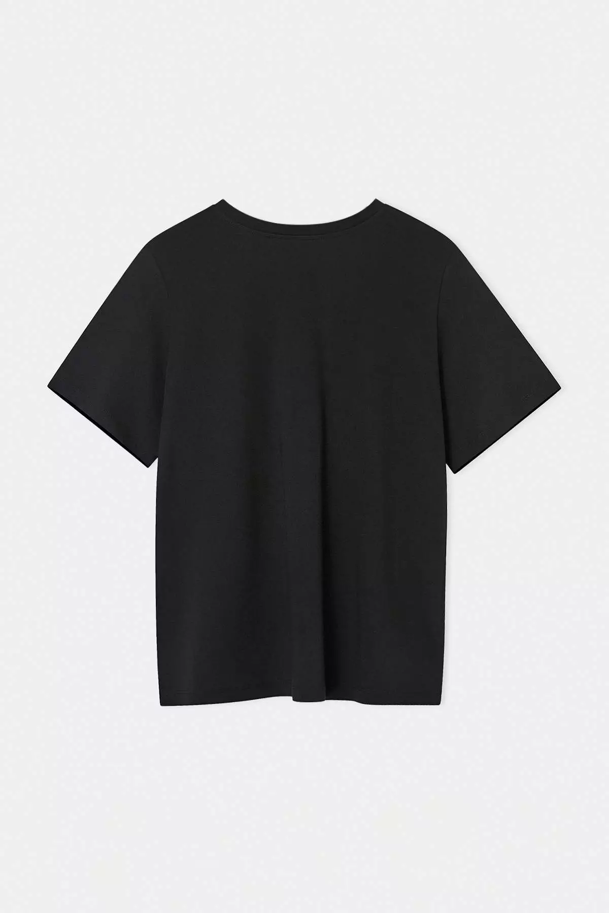 Black Crew Neck Embroidery Detailed Regular Fit Plus Size T-Shirt Tbbss26Bf00032