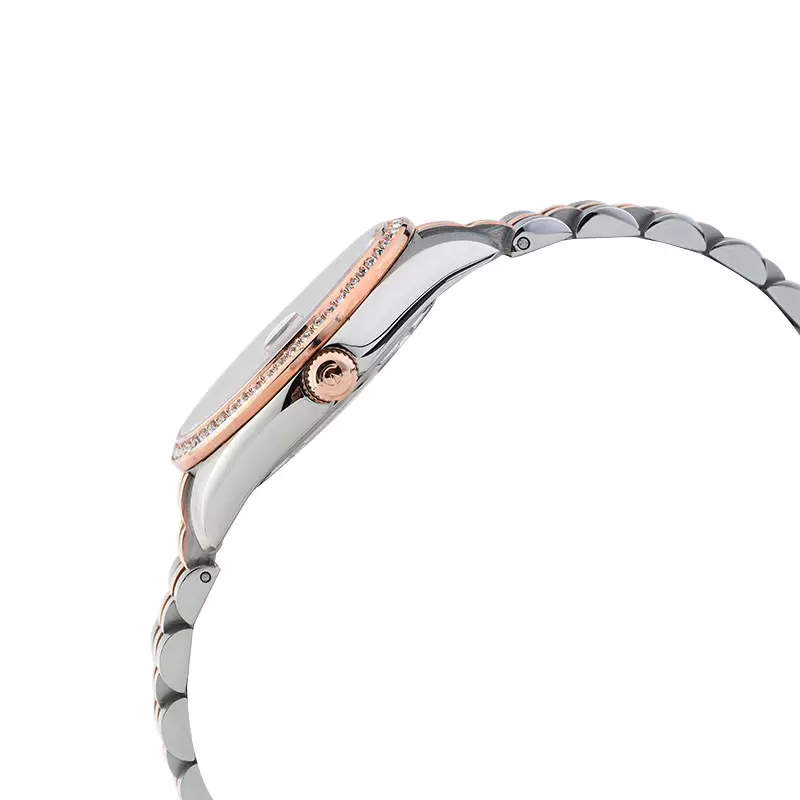 Jam Tangan Wanita Alexandre Christie Classic Steel AC 5012 LD BTRMU Blue MOP Dial Dual Tone Stainless Steel Strap