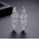 Glamorousky white Brilliant Temperament Geometric Floral Long Earrings with Cubic Zirconia DA99EACAF97163GS_3