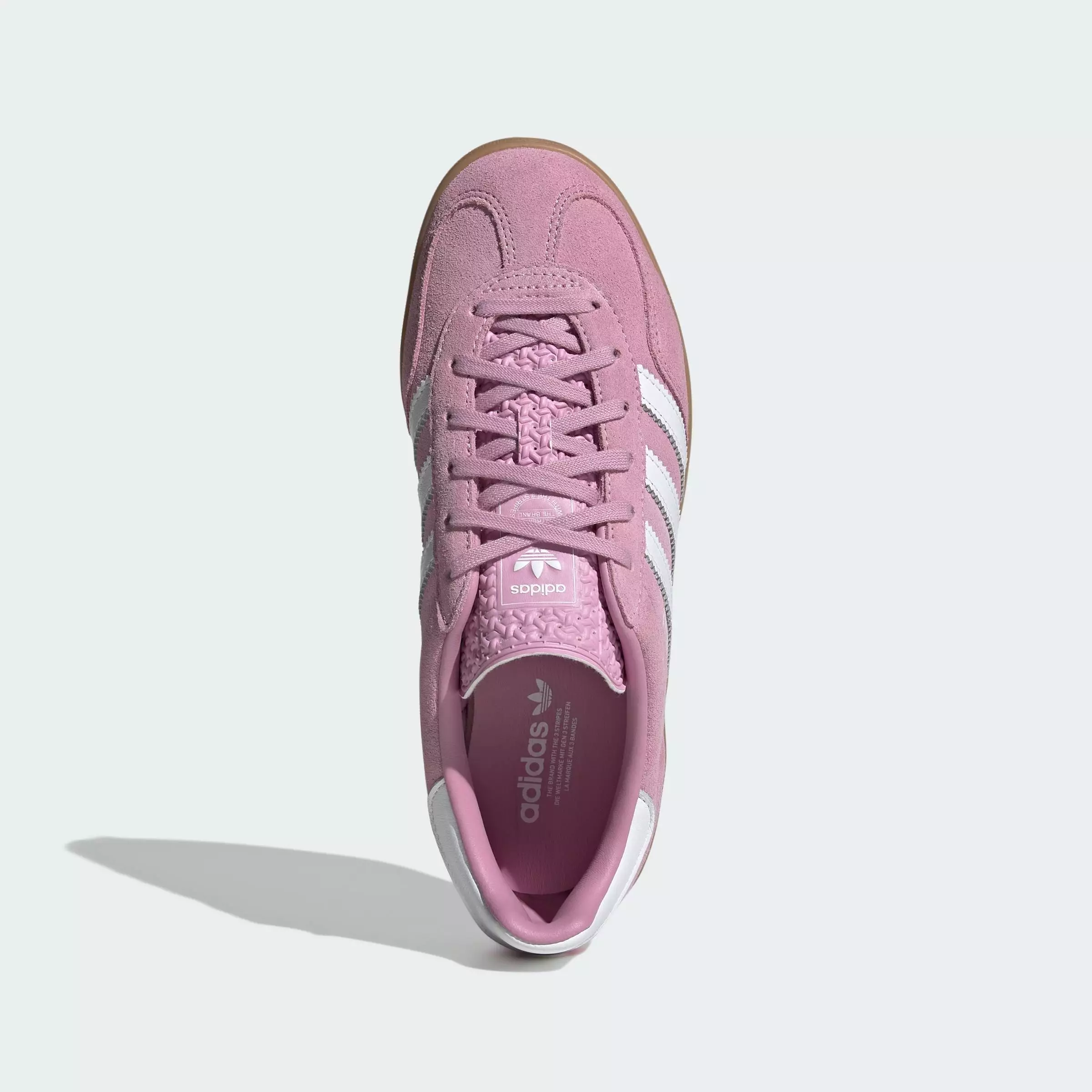 Gazelle Indoor W