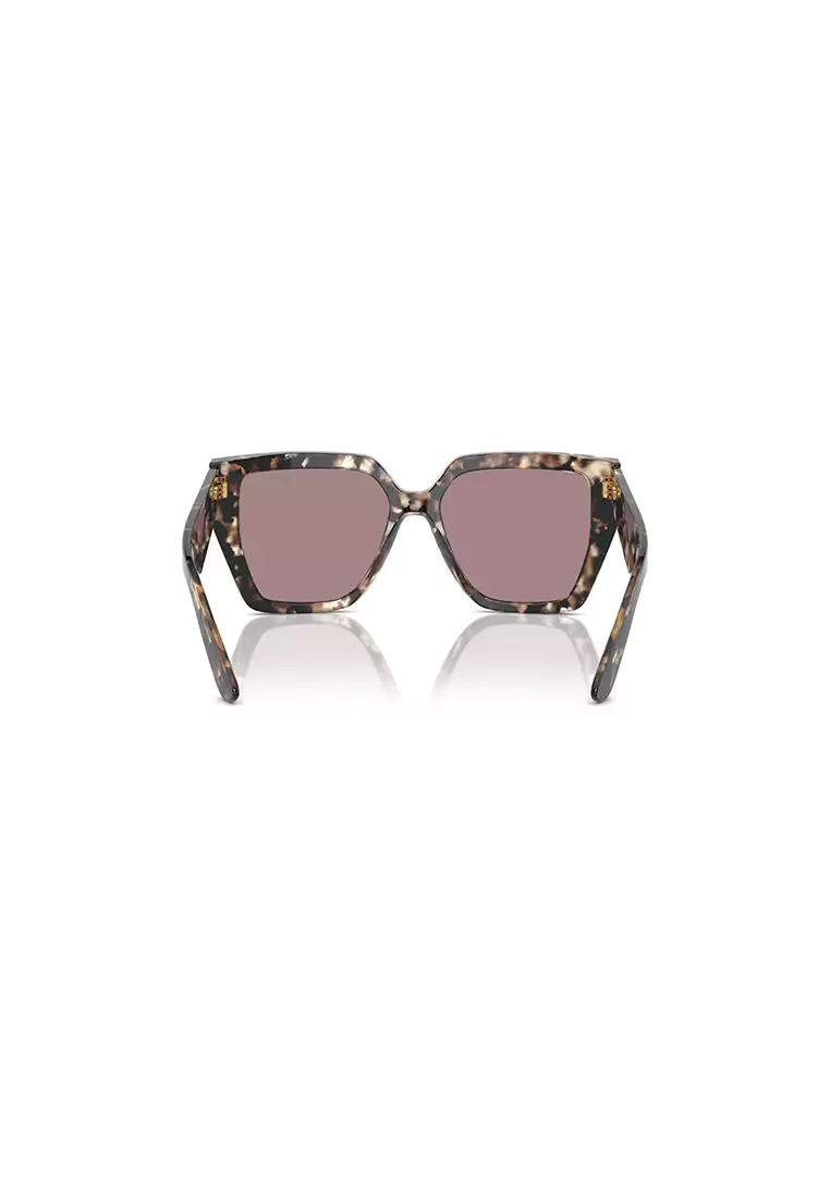 Women's Square Frame Light Brown Acetate Sunglasses - DG4438