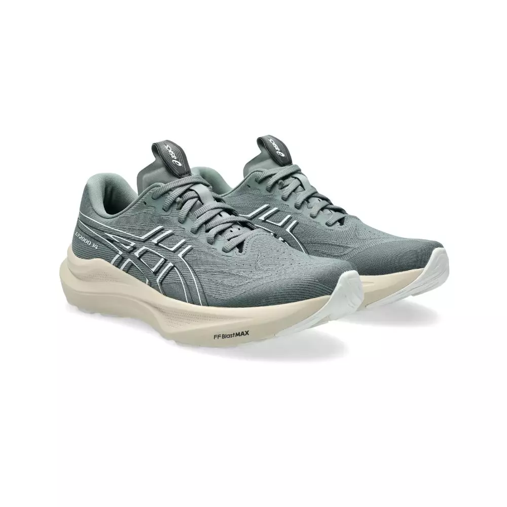 ASICS Men GT-2000 14