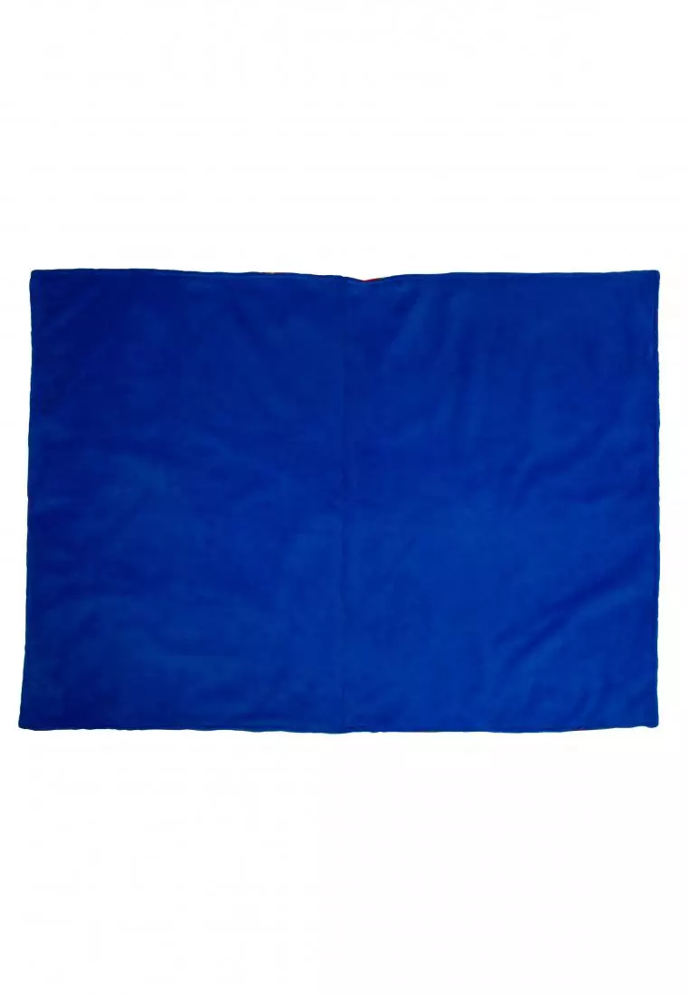 Toddler Blanket Dinosaur