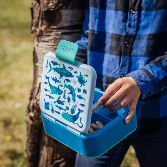 Quokka Kids Sandwich Box Twist Sea Animals - Tempat Makan Anak