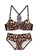 XAFITI brown Women's Non-wired Push Up Lingerie Set (Bra And Underwear) - Leopard 88033USA31F24DGS_1