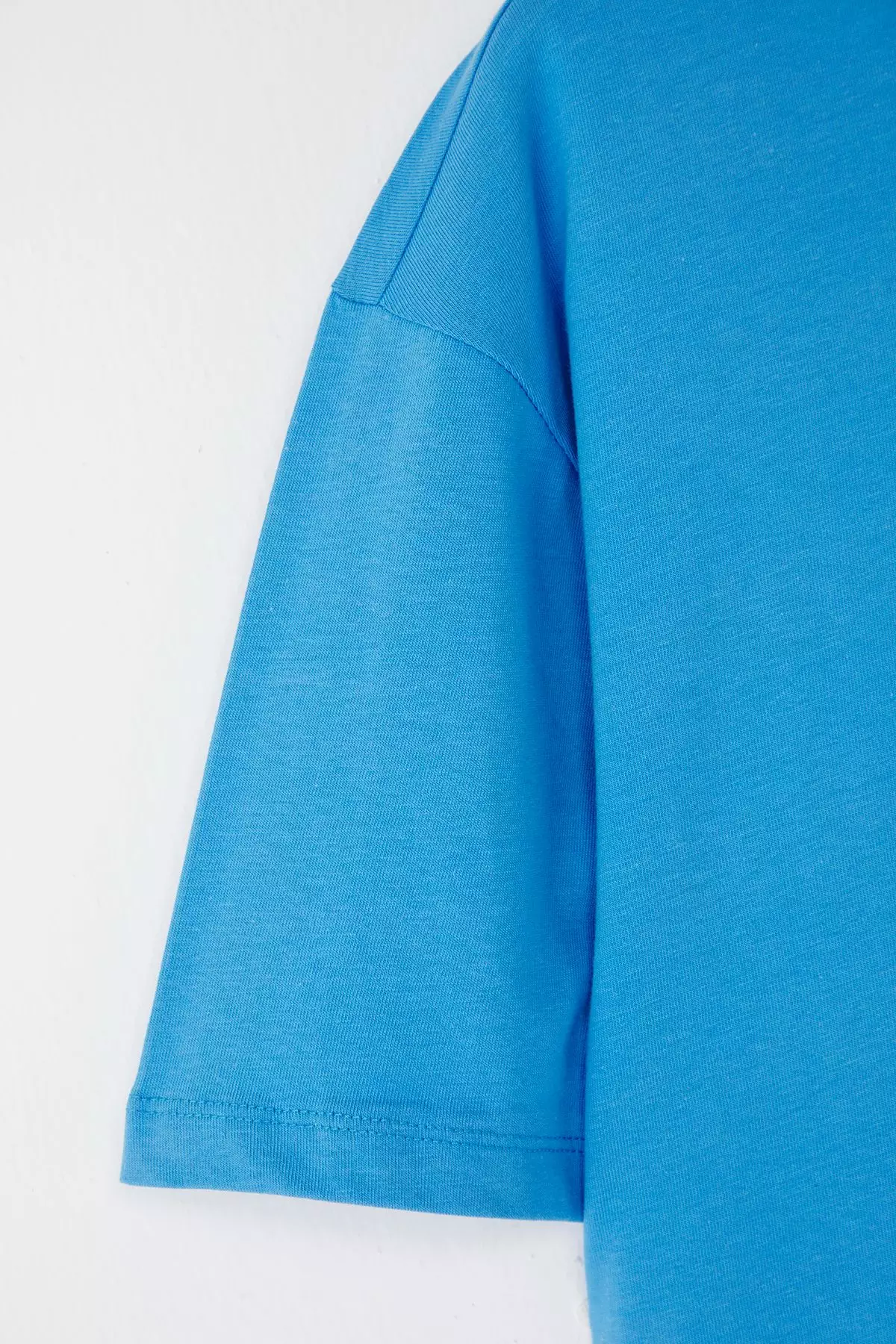 Blue Oversize/Wide Cut Penguin Embroidered 100% Cotton T-Shirt TMNSS23TS00243