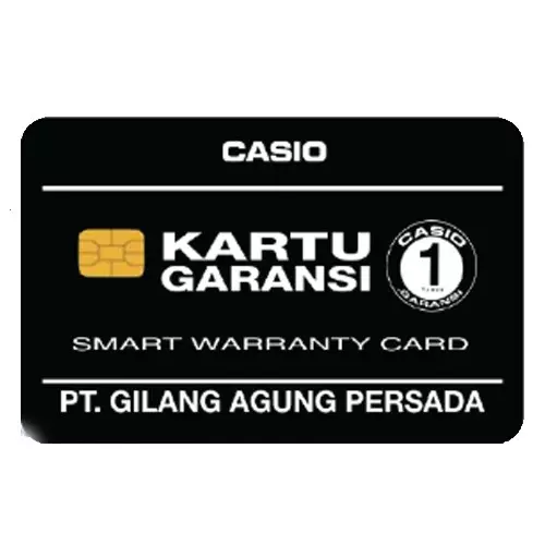 Casio Jam Tangan Pria Digital - DW-291HX-5AVDF