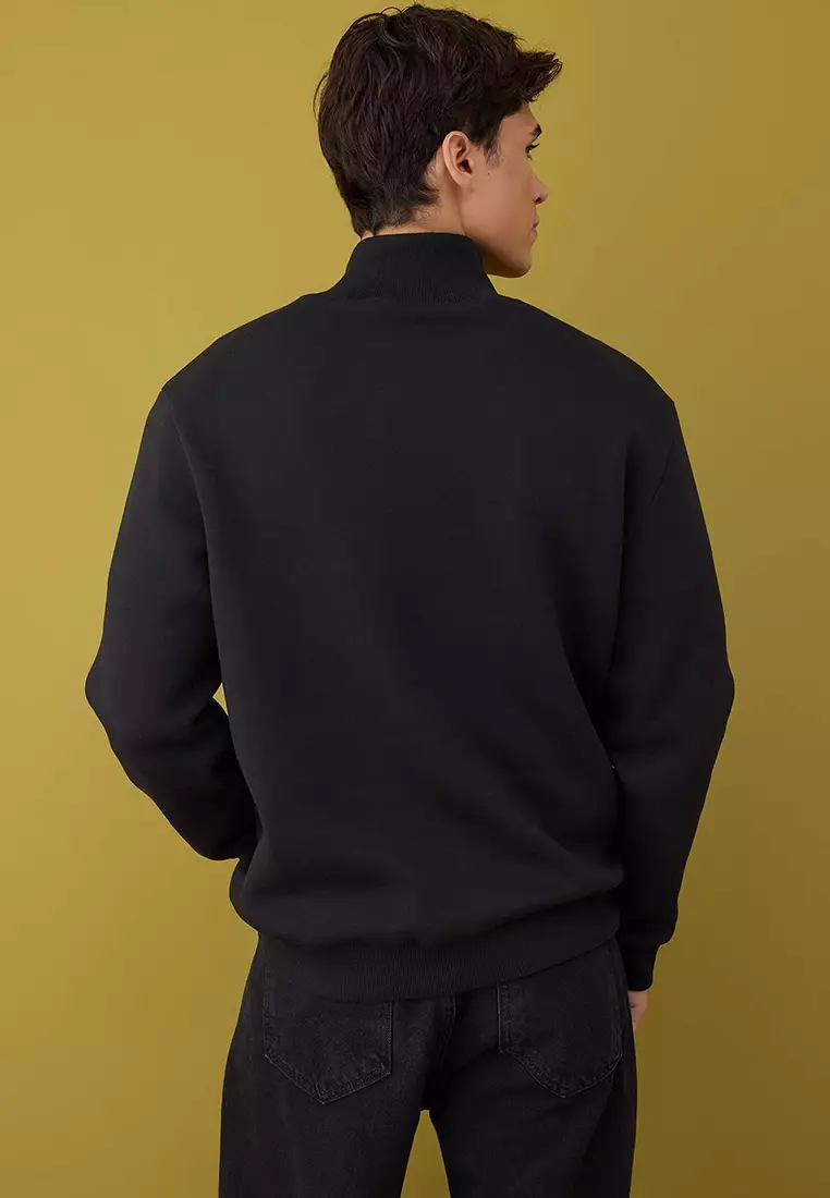 Regular Cut Stand Collar Thick Polar Fleece Sweatshirt