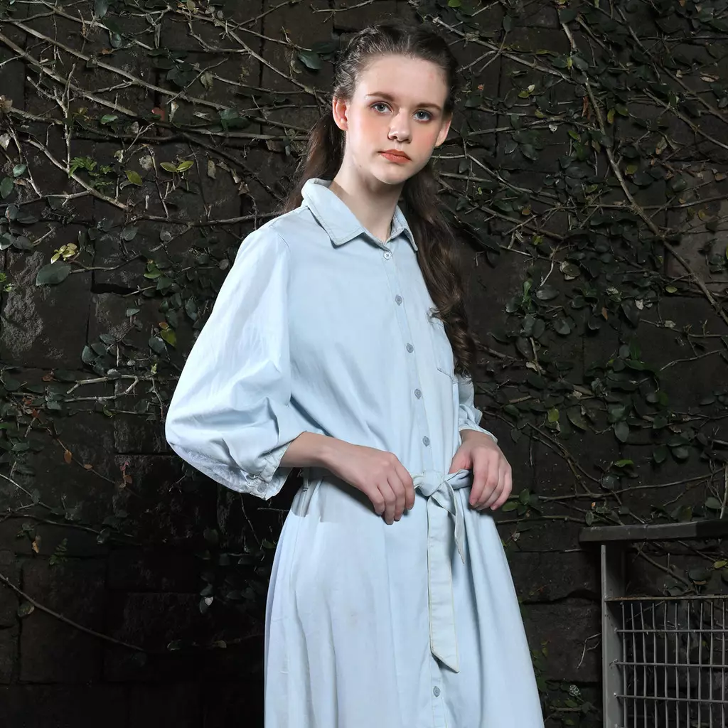 Triset Casual Denim Dress - TD301941032