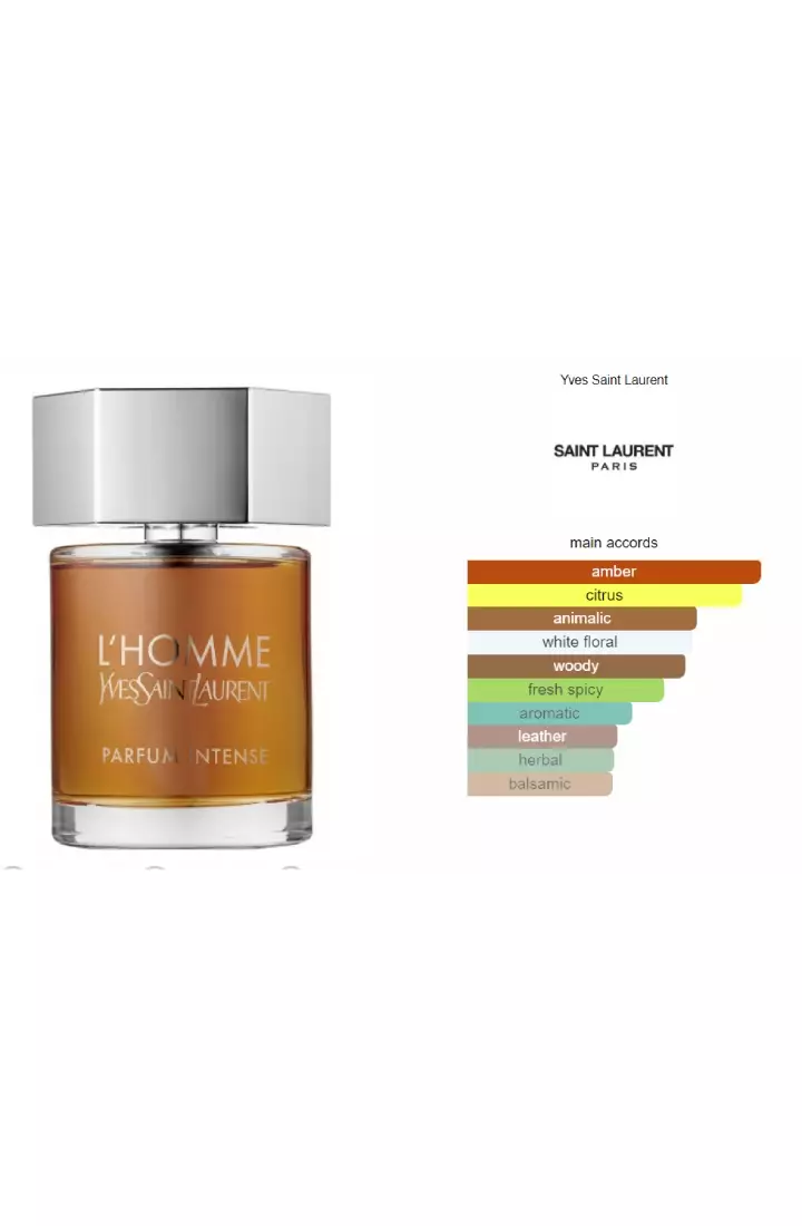 Yves Saint Laurent L'Homme L'Intense EDP - 100 ML (Parfum Pria)