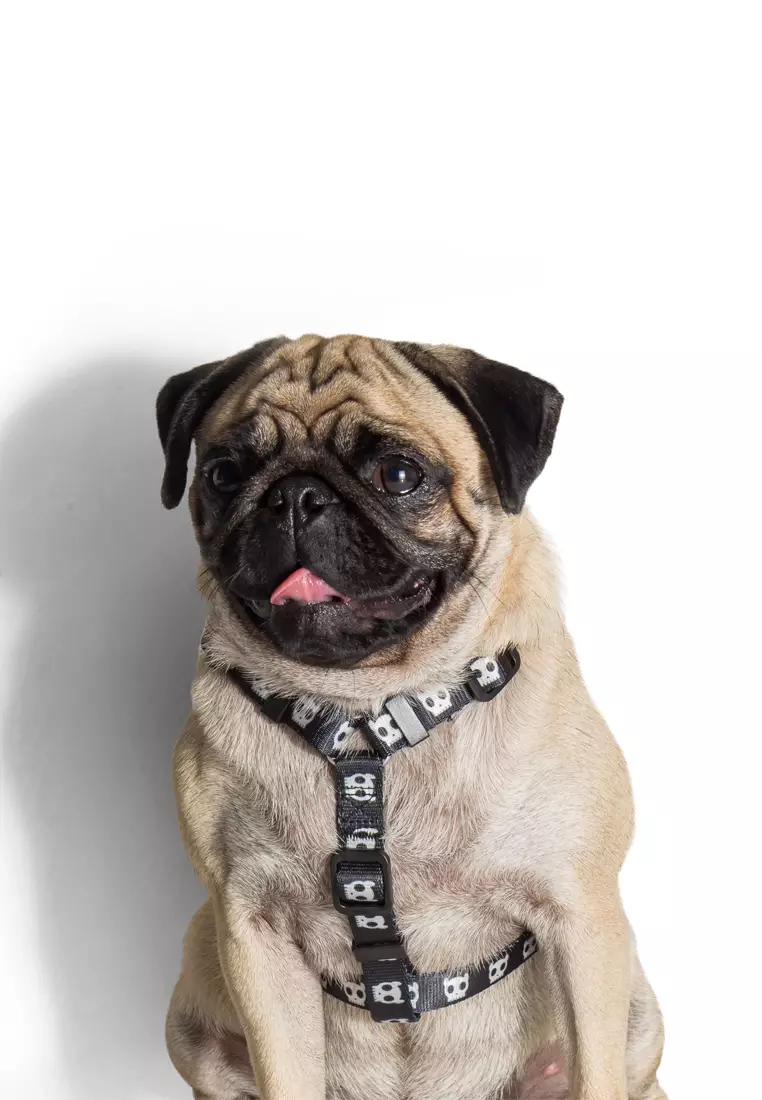 Buy Skull 2.0 H-Type Dog Harness Small 2024 Online ZALORA  Philippines