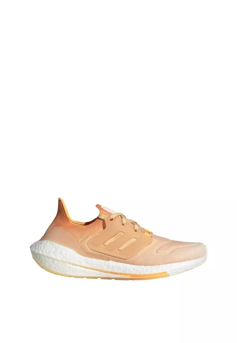 Adidas continental top 80 zalora