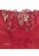 Modernform International red Red Velvet Embroidery Lace Brief (P0351R) 85835US1BAB2FEGS_2