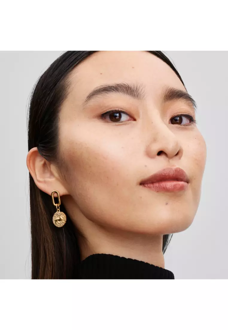 Lion Medallion Charm