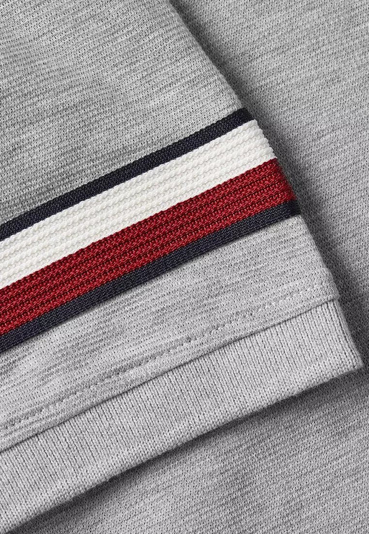Buy Tommy Hilfiger Men's Global Stripe Sleeve Regular Polo 2023 Online ...