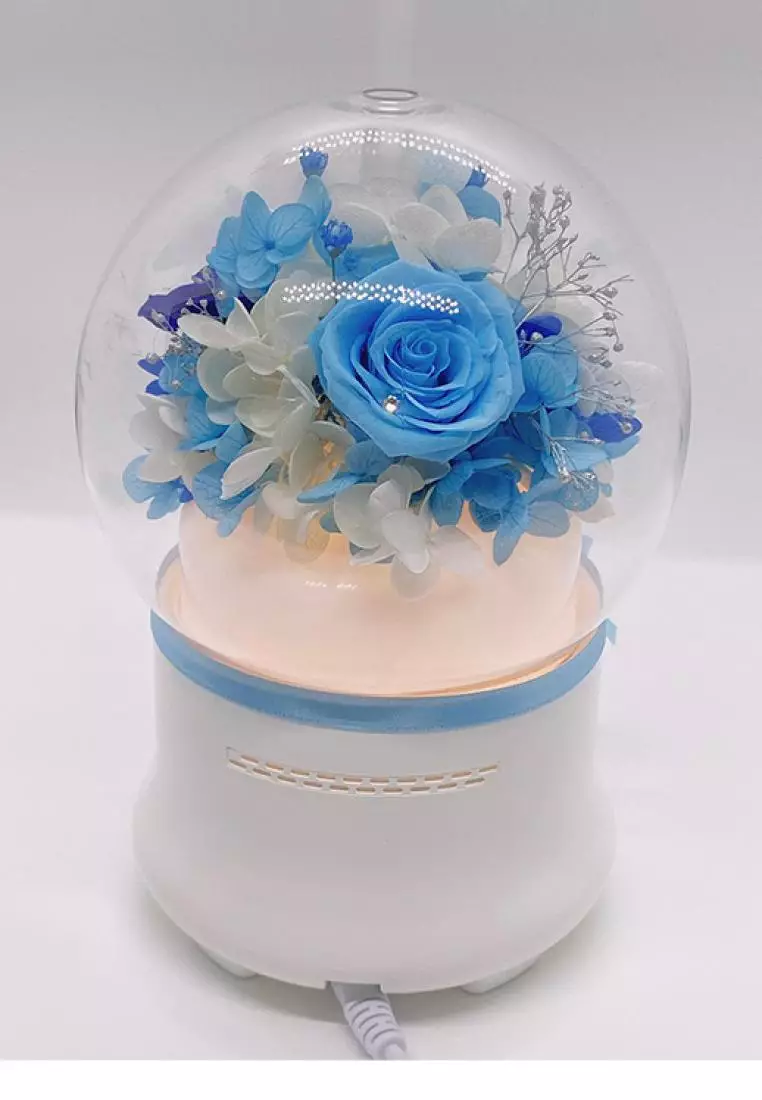 Her Jewellery Her Rose - Everlasting Preserved Rose - Rose Humidifier with LED Lights (Blue)