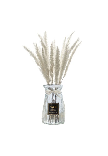Buy Propstation Ornamental Dried Preserved Pampas Grass White In Clear Glass Vase Online On Zalora Singapore