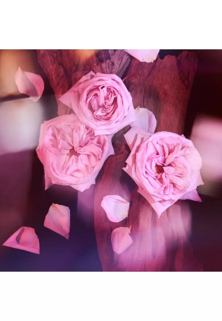 Kayali Oudgasm Rose Oud |16 50ml