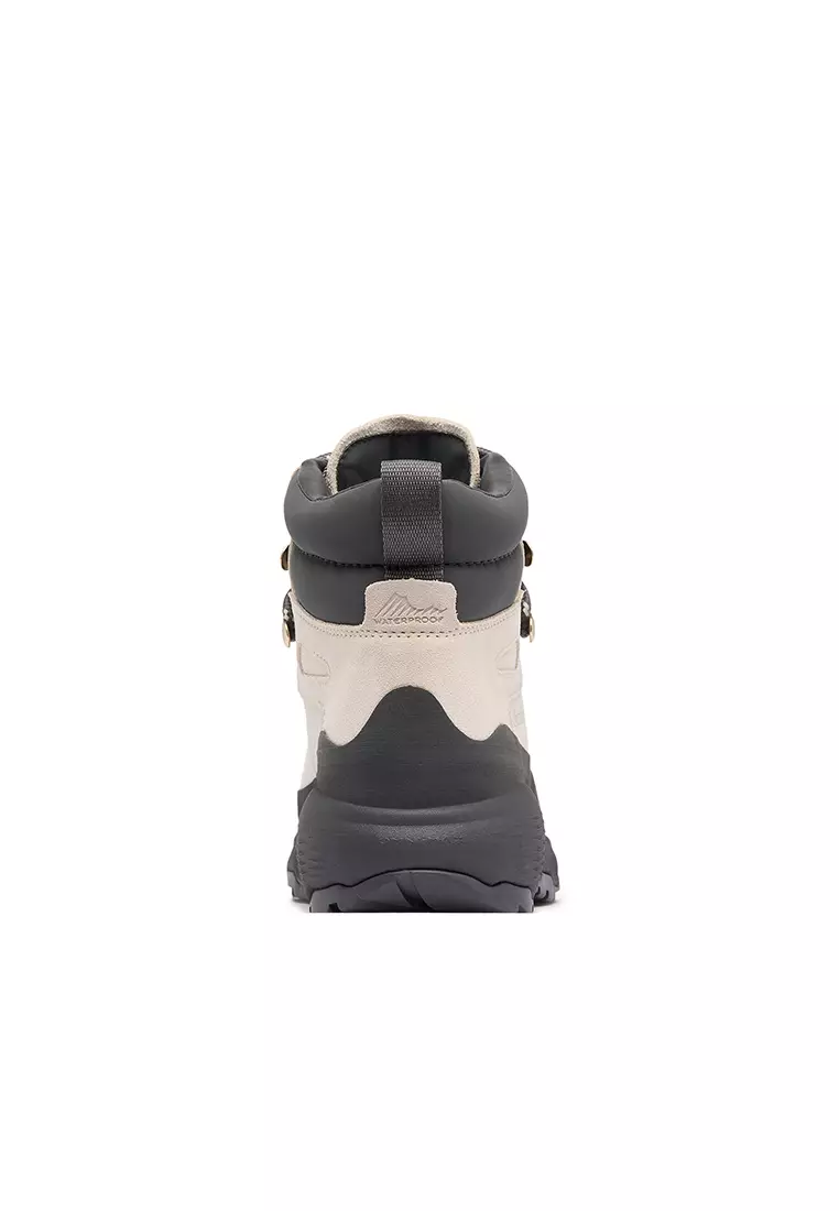 NEWTON ALPINE PT