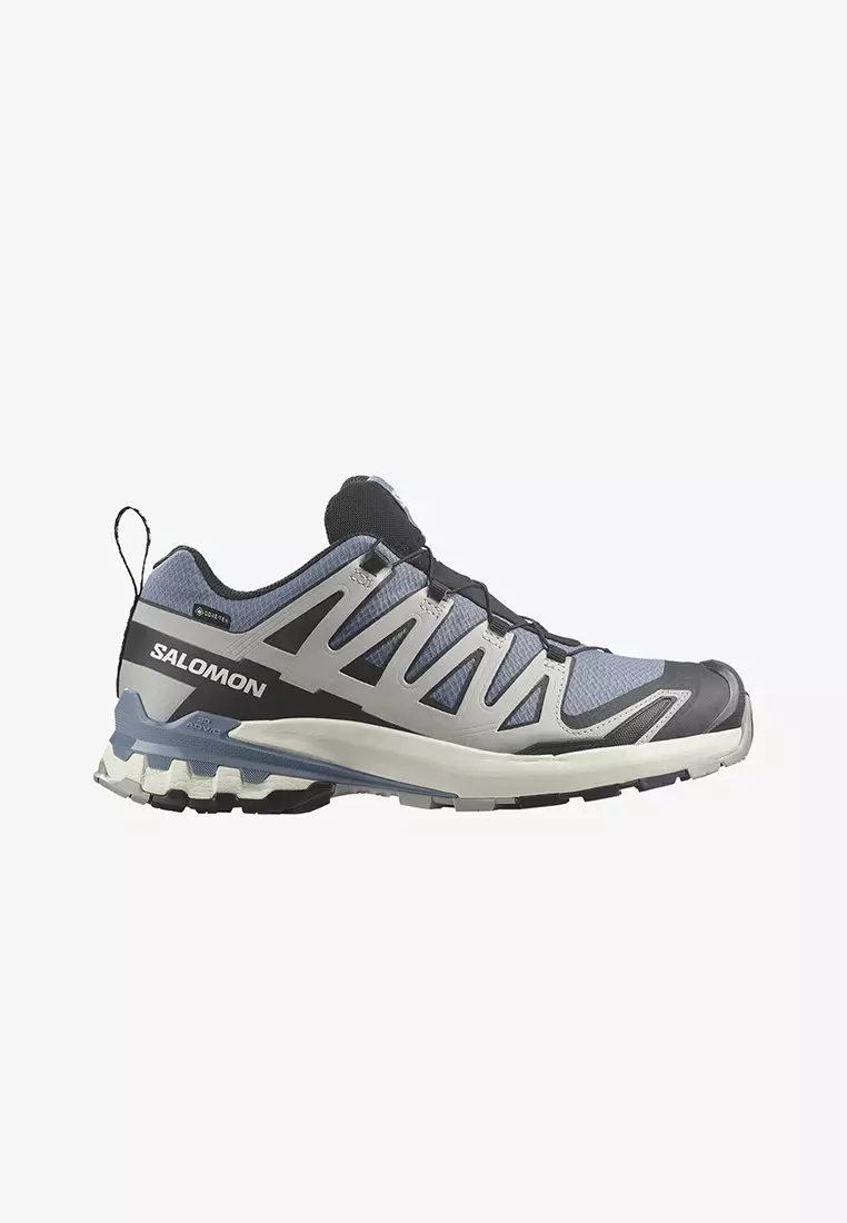 Salomon XA PRO 3D V9 GTX Men Outdoor Shoes in Flint Stone / Black / Ghost Gray