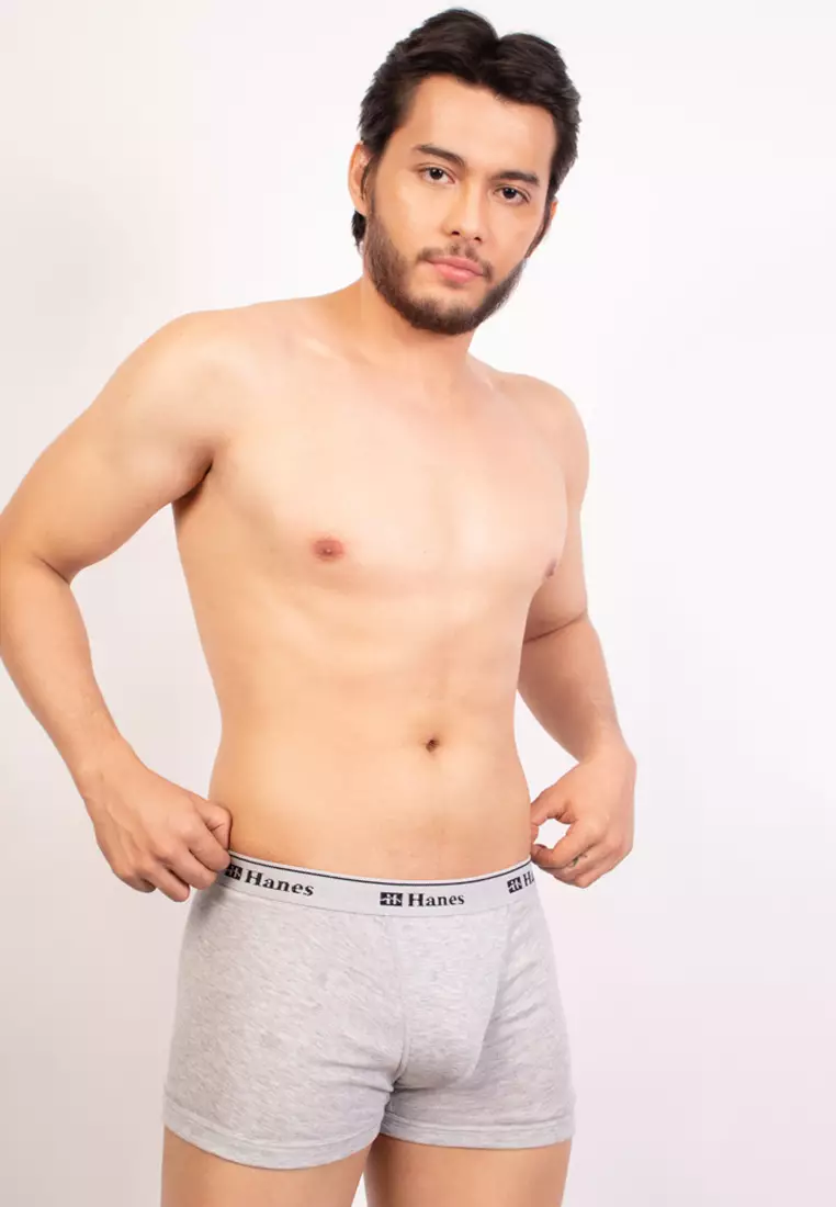 Buy Hanes 3 Pack Tagless Boxer Brief 2024 Online ZALORA Philippines