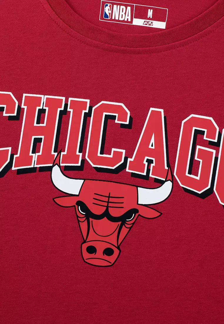 Team Logo Print Chicago Bulls Regular Fit Womens T-Shirt