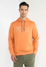 Buy American Eagle Active Logo Hoodie 2024 Online ZALORA Singapore