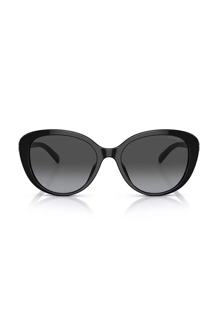 Coach cat eye clearance sunglasses