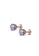 Her Jewellery purple and gold Birth Stone Earrings (June, Rose Gold) - Made with premium grade crystals from Austria E8076AC78EFF73GS_2