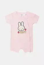 Lcn Mif Tea Party Pink/Miffy