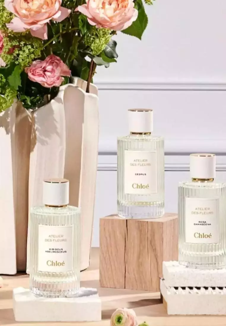 Chloé Atelier des Fleurs Cedrus セット Chloé Atelier des Fleurs Cedrus Eau de Parfum 50ml Fragrance