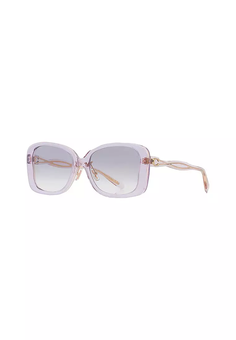 Coach Women's Butterfly Frame Violet Acetate Sunglasses - HC8334F