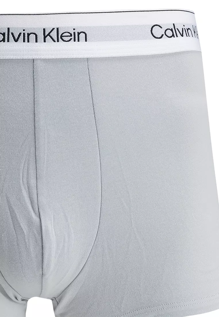 Icon Trunks 2 Pack - Calvin Klein Underwear