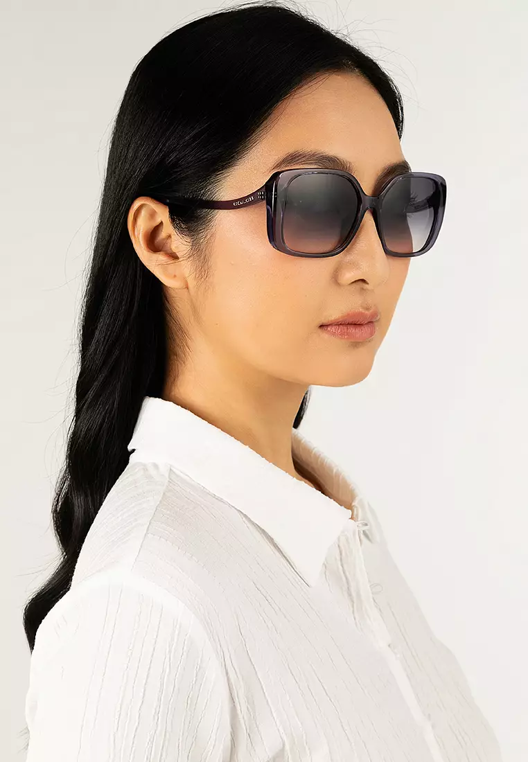 Women's Square Frame Transparent Violet Injected Sunglasses - HC8376U