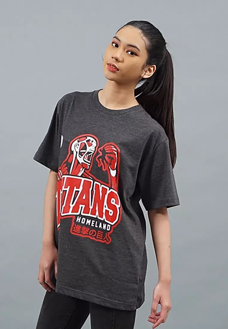 LGS Street x Titans - Kaos - Oblong - Unisex - Grey - Anime - ST.30.H056.005
