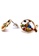 BELLE LIZ gold Abigail Colorful Fish Earrings C0836ACF9C432AGS_3