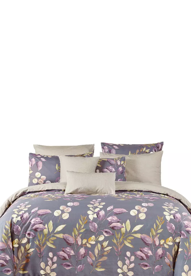 Buy AKEMI AKEMI Cotton Select Adore Fitted Sheet Set 730TC (Super