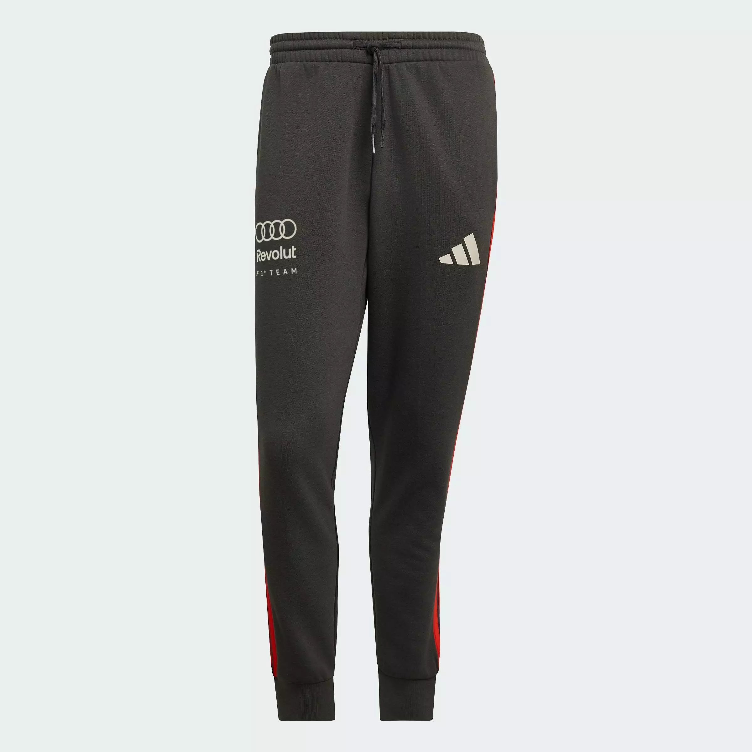 Motorsport AUDI REVOLUT F1 TEAM DNA PANT Men Black KE6783