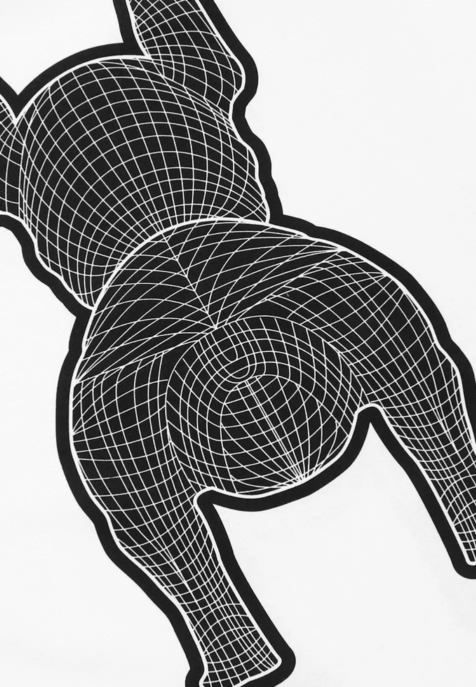 Silk Radog Short Sleeve Tshirt - White