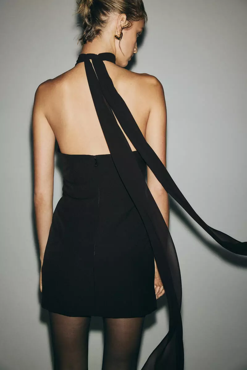 Buy H&M Rose-appliqu halterneck dress 2026 Online | ZALORA Philippines