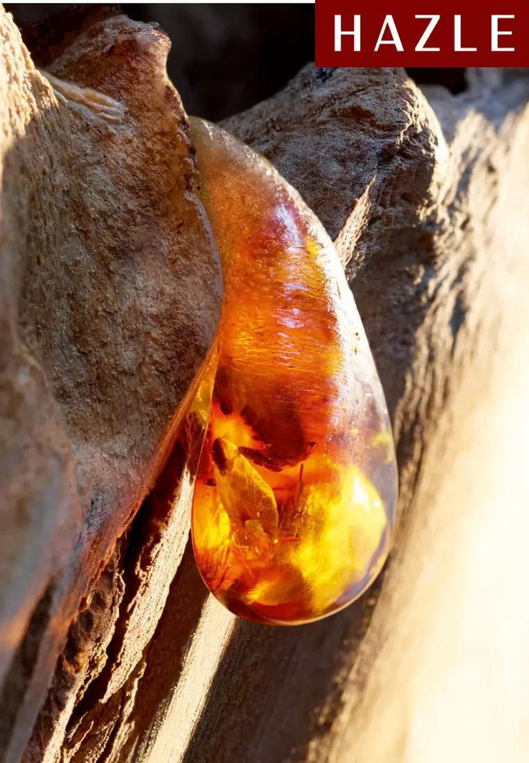 Sauvage Man EDT 30 ml