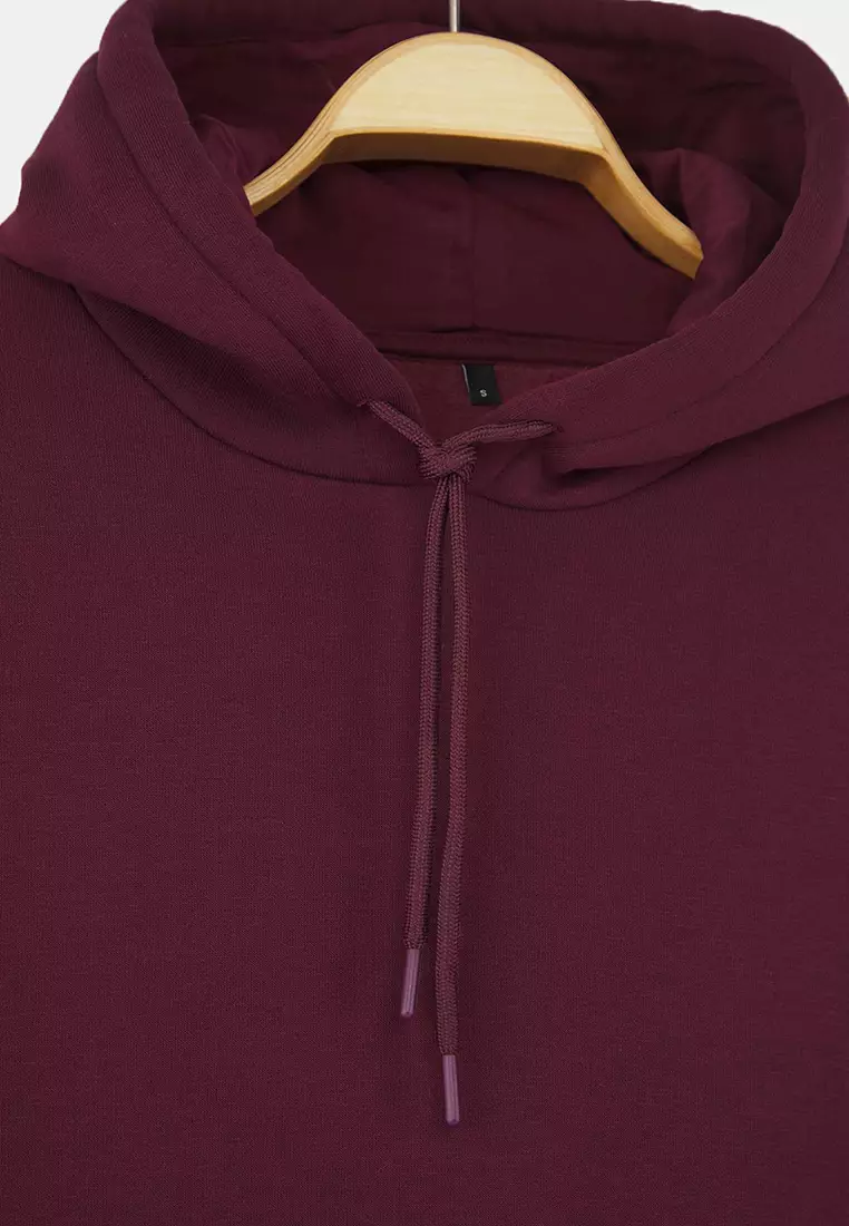 Plum Thick Polar Fleece Oversize/Wide Pattern Hooded Basic Knitted Sweatshirt Twoaw24Sw00103