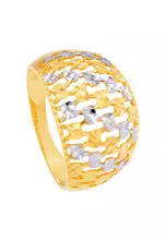 Yellow and White Gold(4.00G)