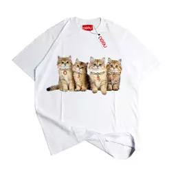 Black, Wash, Grey, White, Green