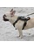 Kiloninerpets green (SMALL) Light Speed Harness 9517CES1BECDC5GS_6