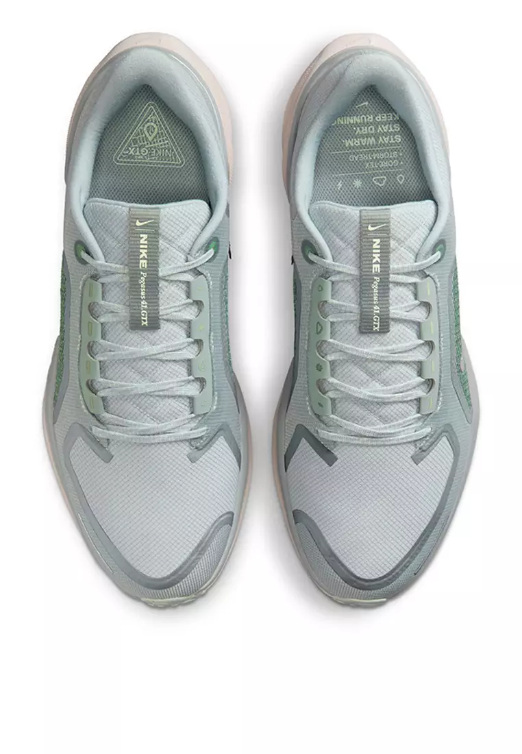 Air Zm Pegasus 41 Gtx