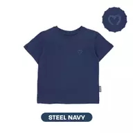 Steel Navy