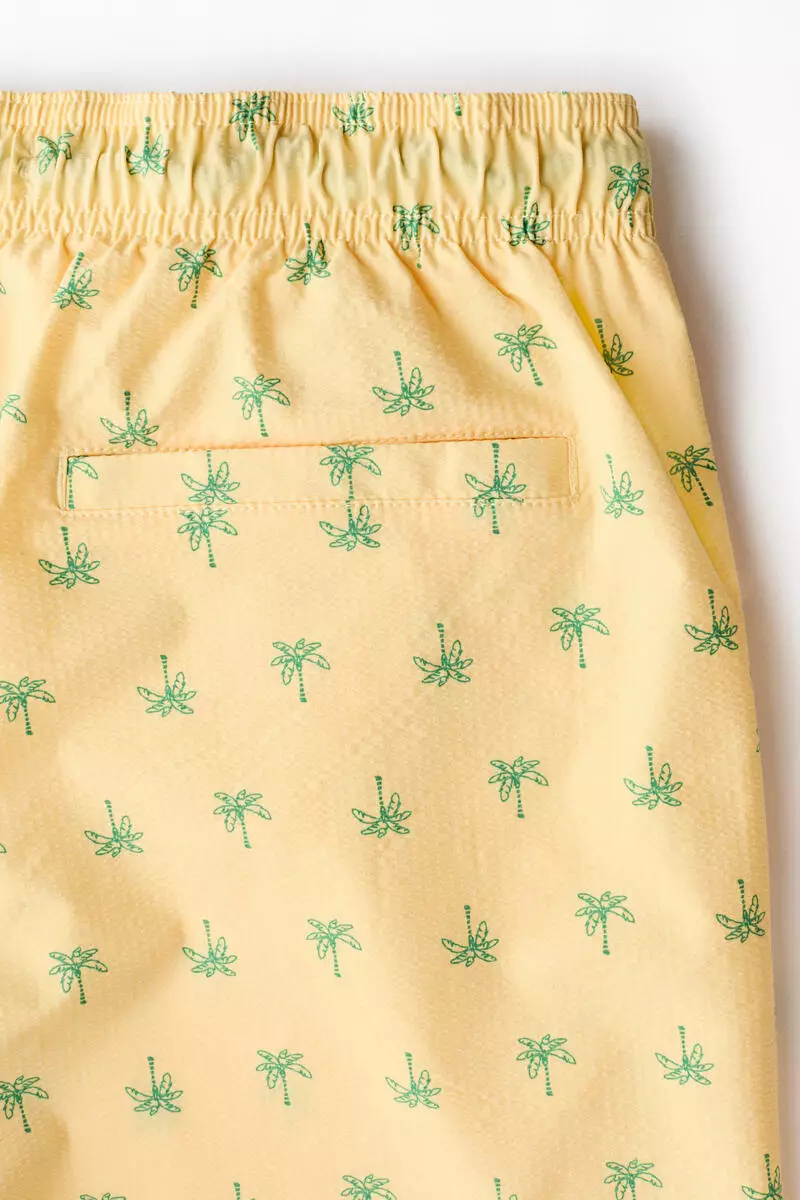 Seersucker swim shorts